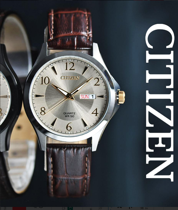 CITIZEN BF2009-29X CLASSIC